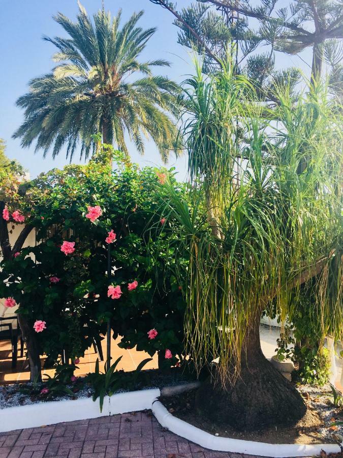 El Cortijo De Miguel Villa Nerja Exteriör bild